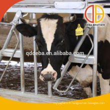 Équipement de ferme d&#39;agriculture de vache de vache galvanisée